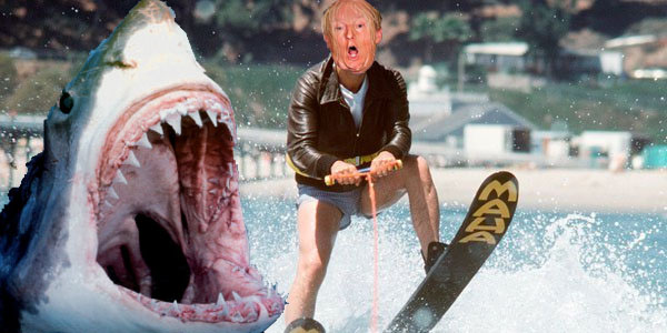 Donald and Shark
